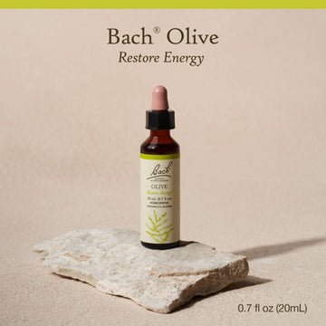 Bach Flower Olive