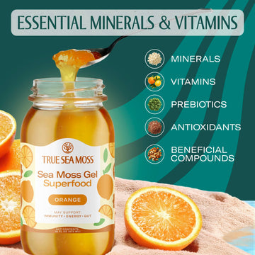 TrueSeaMoss Sea Moss Gel - Made in USA - Wildcrafted Seamoss Fruits & Jarred Vegetables - Orange Pack of 1 (Labels may Vary)