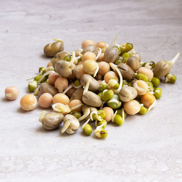 Organic Sprouting Seeds - Handy Pantry Sweet Protein Mix 4 Oz. - Fava Bean, Mung Bean, & Yellow Pea Seeds - High Protein Food Fo