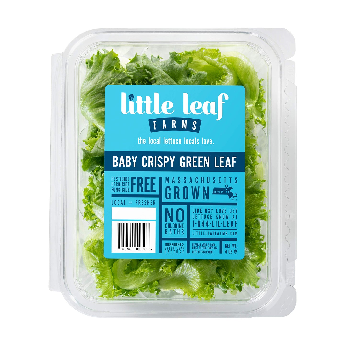 Little Leaf Farms Crispy Baby Locally grown, Green Leaf Lettuce, 4 Ounce