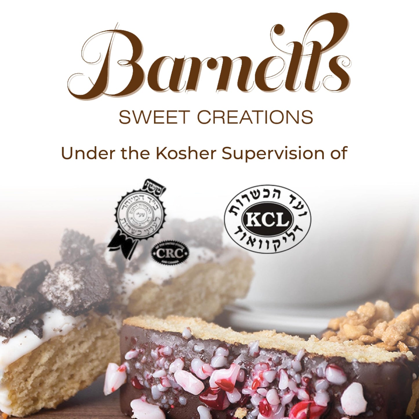 Barnetts Christmas Holiday Thanksgiving12 Chocolate Biscotti Gift Basket Gourmet Cookies Gifts for Food Delivery Ideas for Dad Husband Brother Son Grandfather Girlfriend Grandmother Daughter Mother