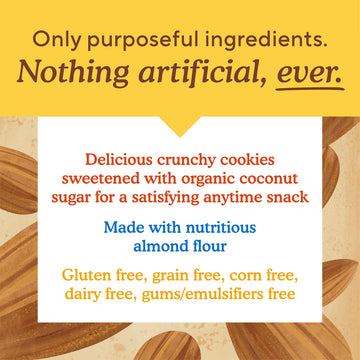 Simple Mills Almond Flour Crunchy Cookies, Chocolate Chip - Gluten Free, Vegan, Healthy Snacks, Made with Organic Coconut Oil, 5