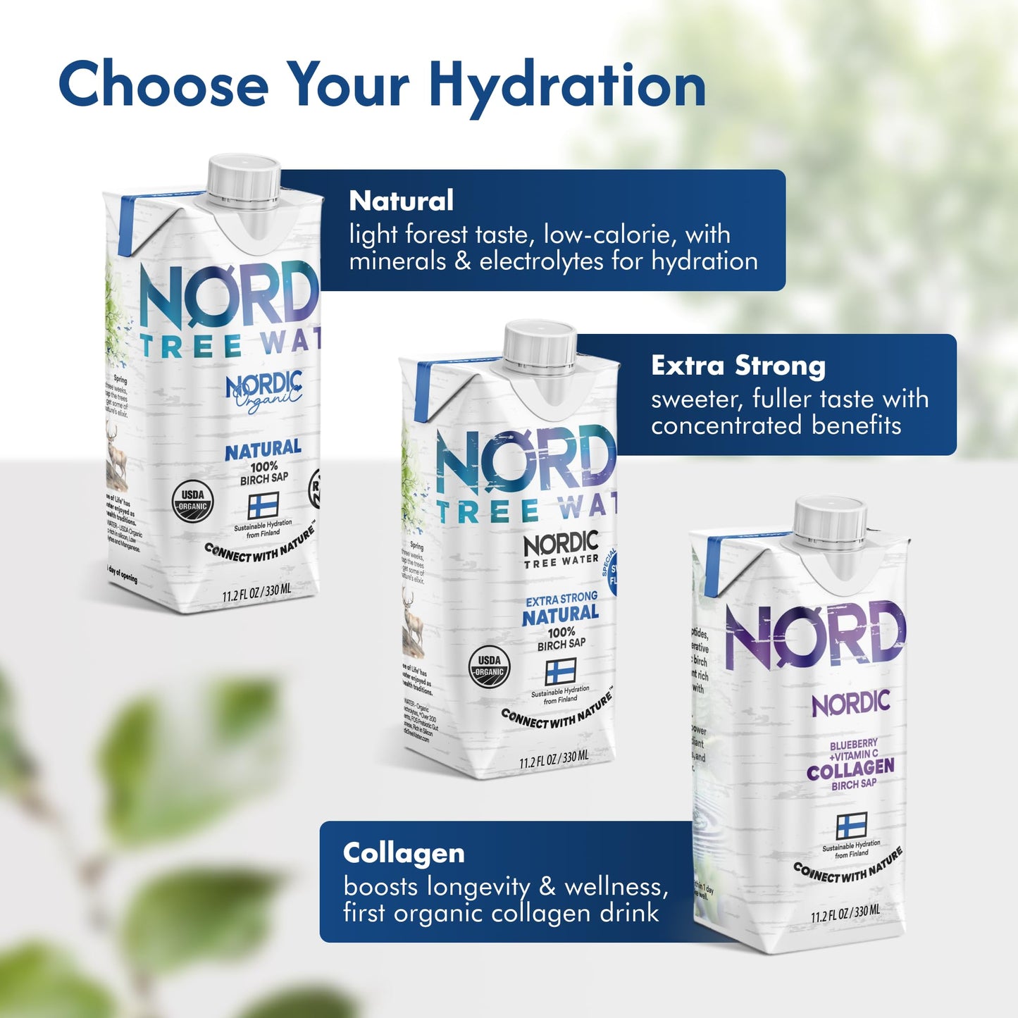 Extra Strong Regenerative Organic Certified Birch Tree Sap - Electrolytes, Minerals, Prebiotics & Vitamins, Finland Wild Harvest