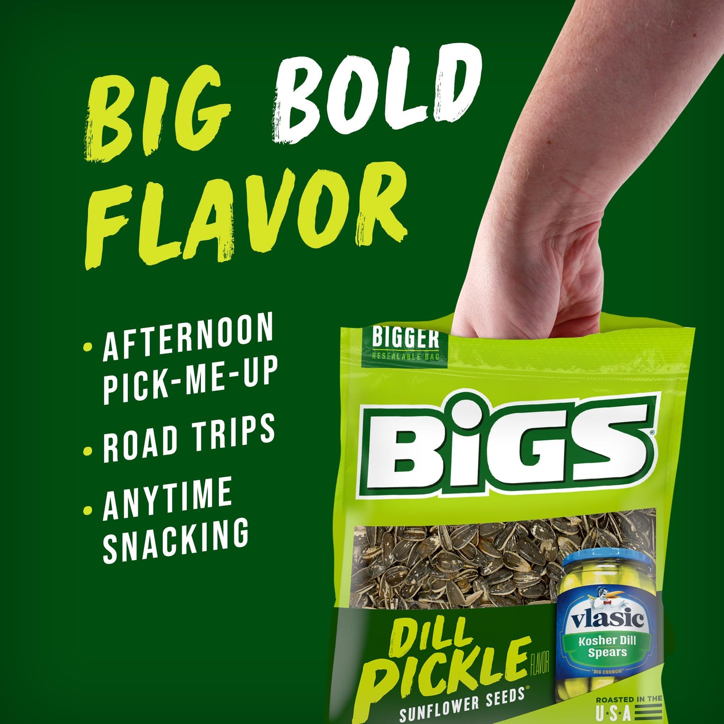 Bigs Vlasic Dill Pickle Sunflower Seeds, 16-Ounce