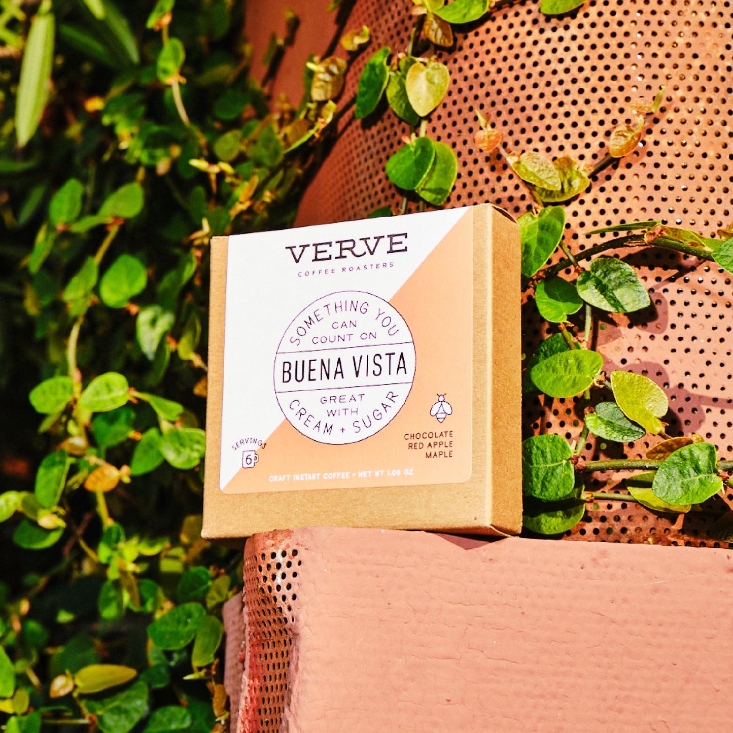 Verve Coffee Roasters Craft Instant Coffee Buena Vista Blend | Dark Roast, Ground, Hand-Roasted | Colombian Blend | Enjoy Hot Or
