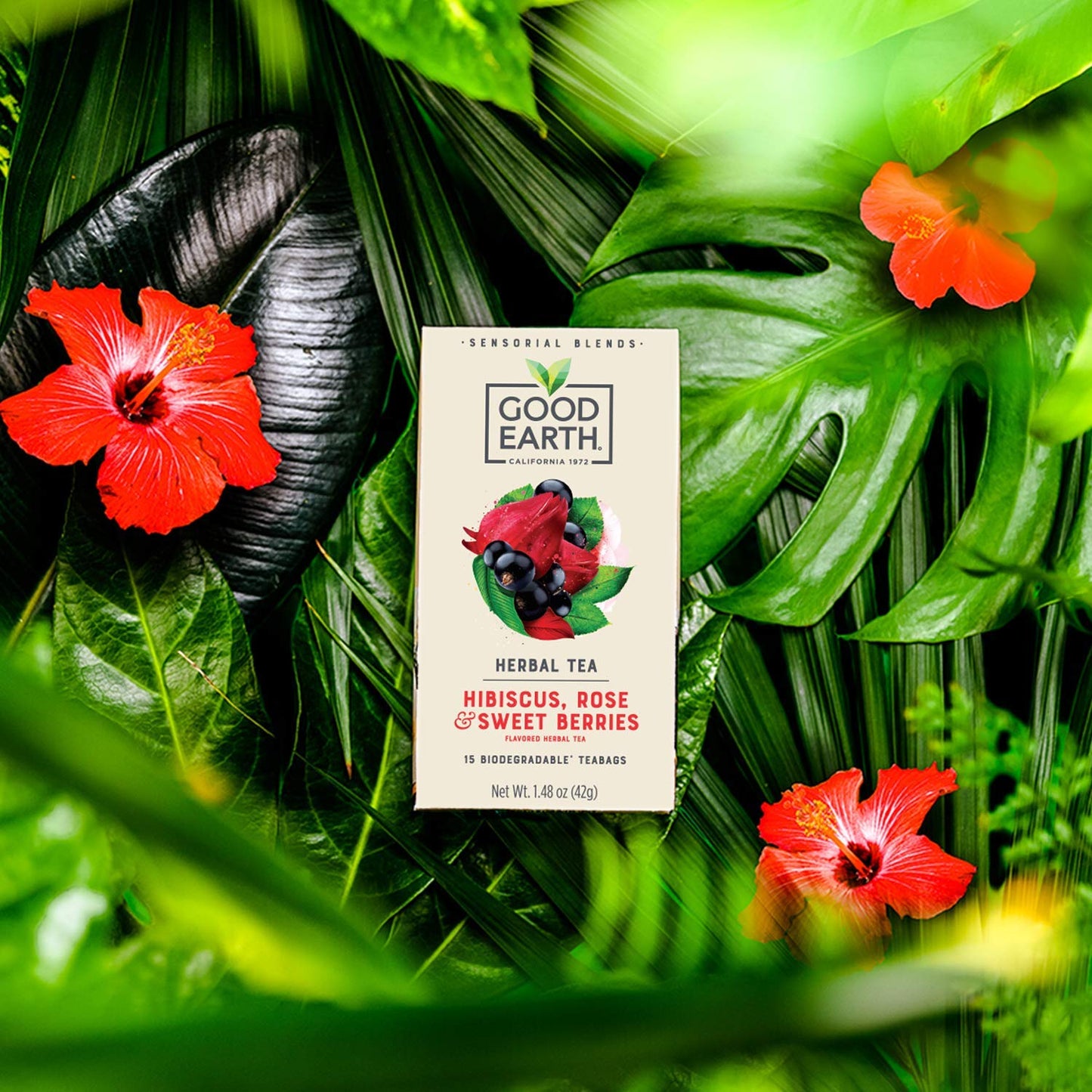Good Earth Sensorial Blend Flavored Herbal Tea Hibiscus, Rose and Sweet Berries, No Artificial Color, No Preservatives, 15 Bag (
