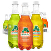 Jarritos Variety Pack, 24 Pack of 17.7 oz Bottles (524ml), Includes 12 Mandarin, 6 Pineapple, 6 Lime, Authentic Mexican Soft Dri
