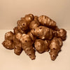 Sunchokes - 5 Pounds (5 Lbs) For Planting Or Eating Fedex 2Day