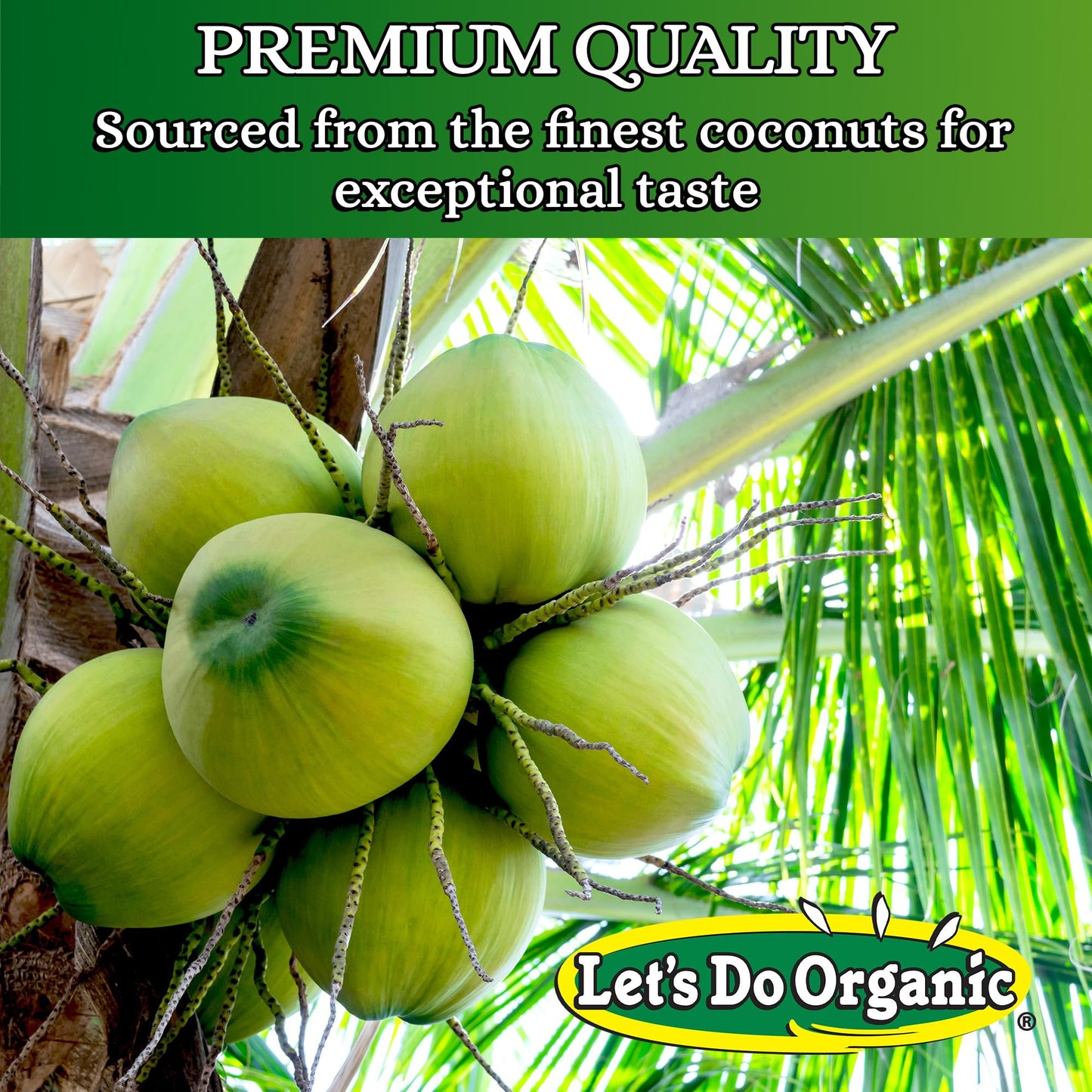 Lets Do Organic Shredded Coconut Unsweetened - Coconut Flakes, Organic Coconut Shreds, Coconut Strips Topping, 0G Trans Fat, Non