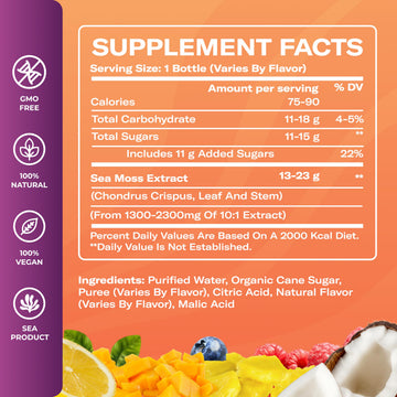True Sea Moss Lemonade Variety Pack - 4 Flavors (Lemon Mango Berry Pina Colada) - Mix of Classic & Electrolyte Formulas - 4 ? 12 fl oz - Made in USA