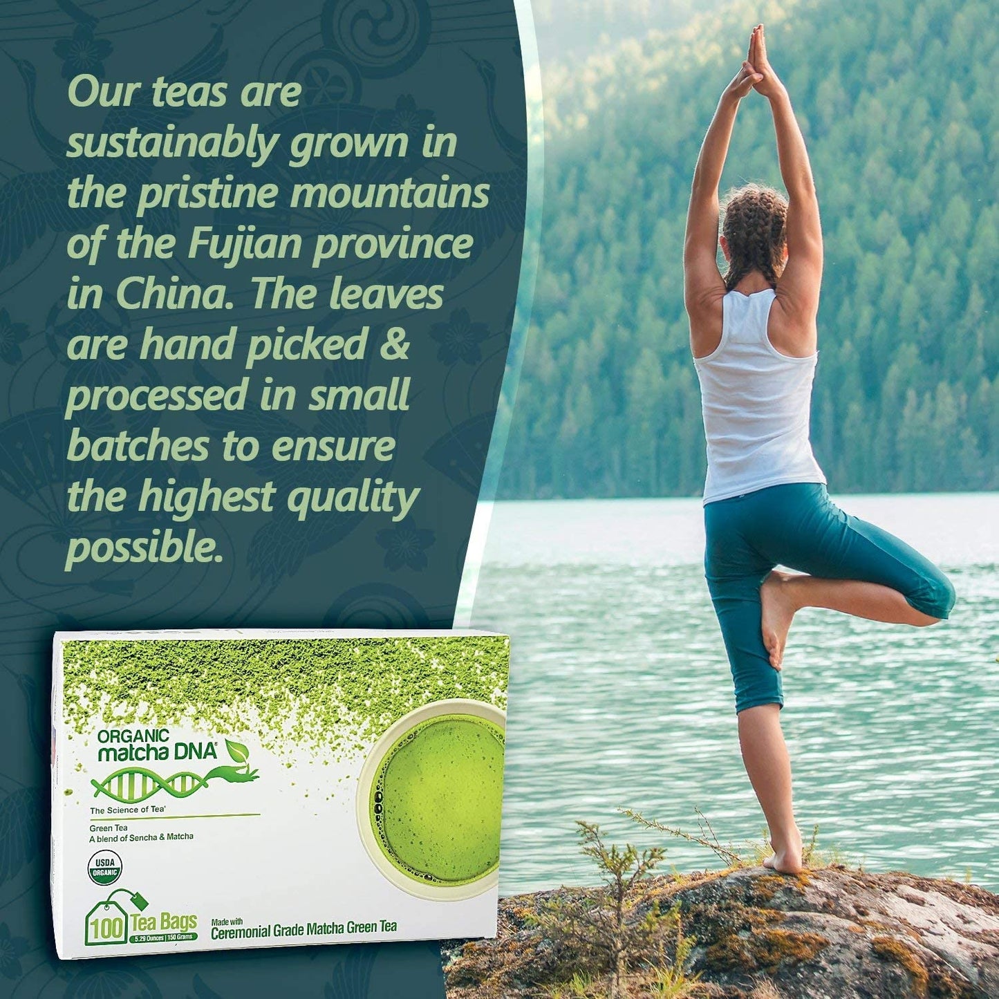 Matcha Teabags Matchadna Certified Organic Matcha Green Tea By Matcha Dna - 100 Teabags