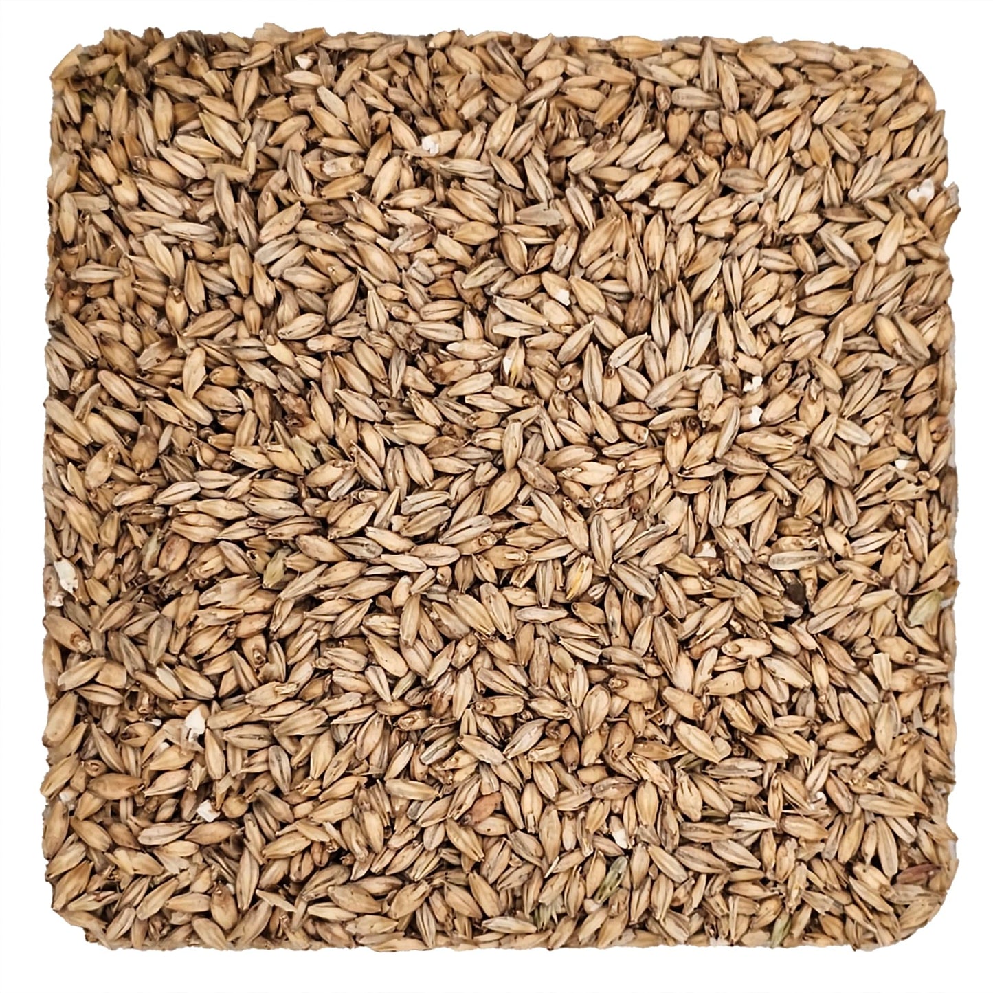Briess 2-Row Distiller's Malt 2.4L - 10 lb (1880B)