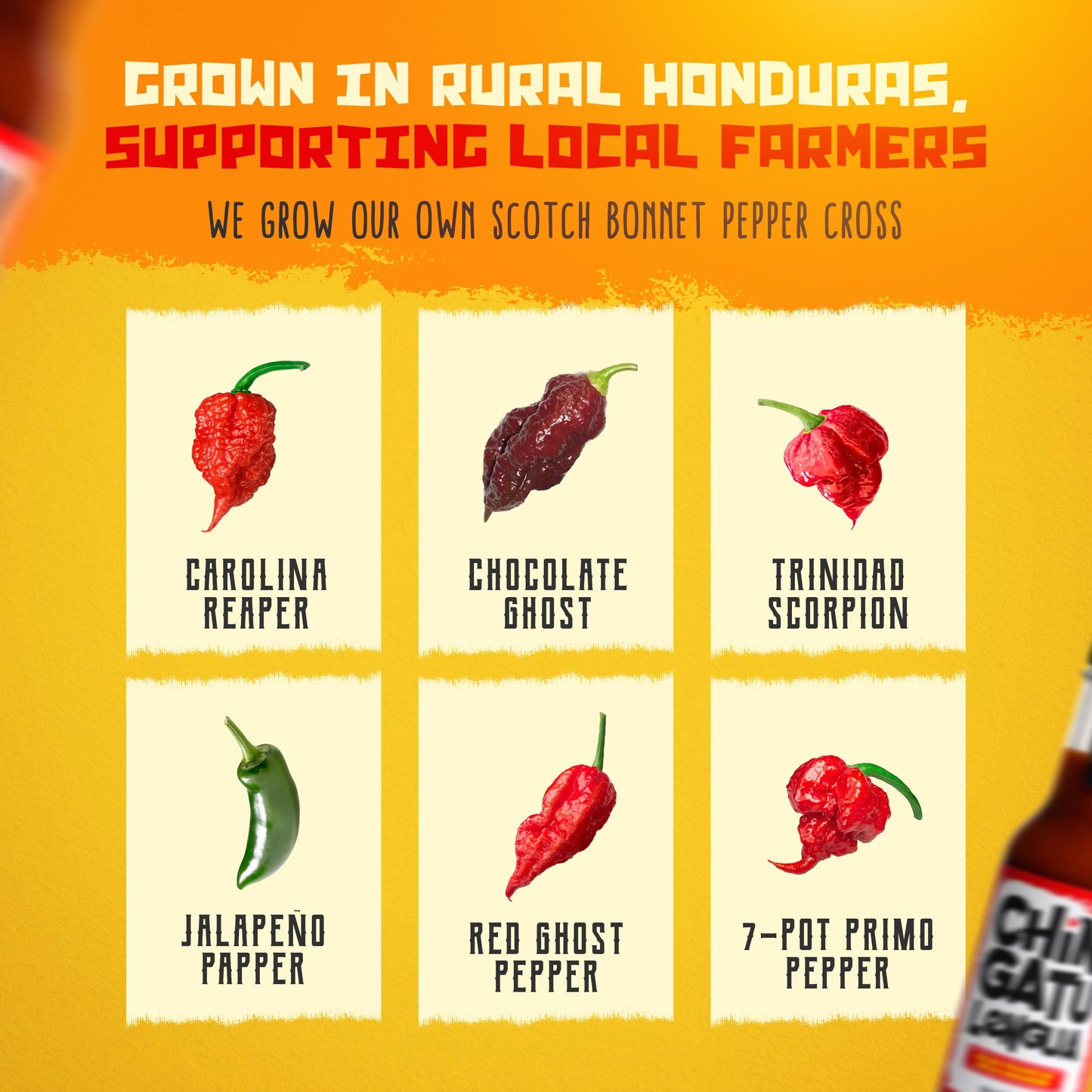 Chile Lengua de Fuego BHUTILA FIRE Super Hots Hot Sauce - Sour Orange, Smoked Scotch Bonnet, Jalapeno - Pack of 1 - Red