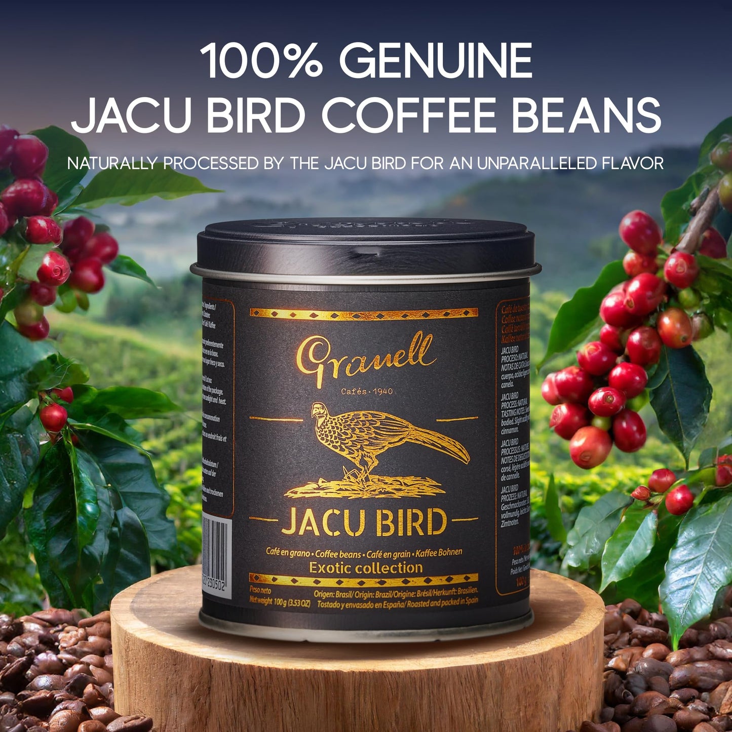 Granell Cafes 1940 Jacu Bird Coffee - Rare Brazilian Whole Bean - Medium Roast - Exotic Low Acid Gourmet