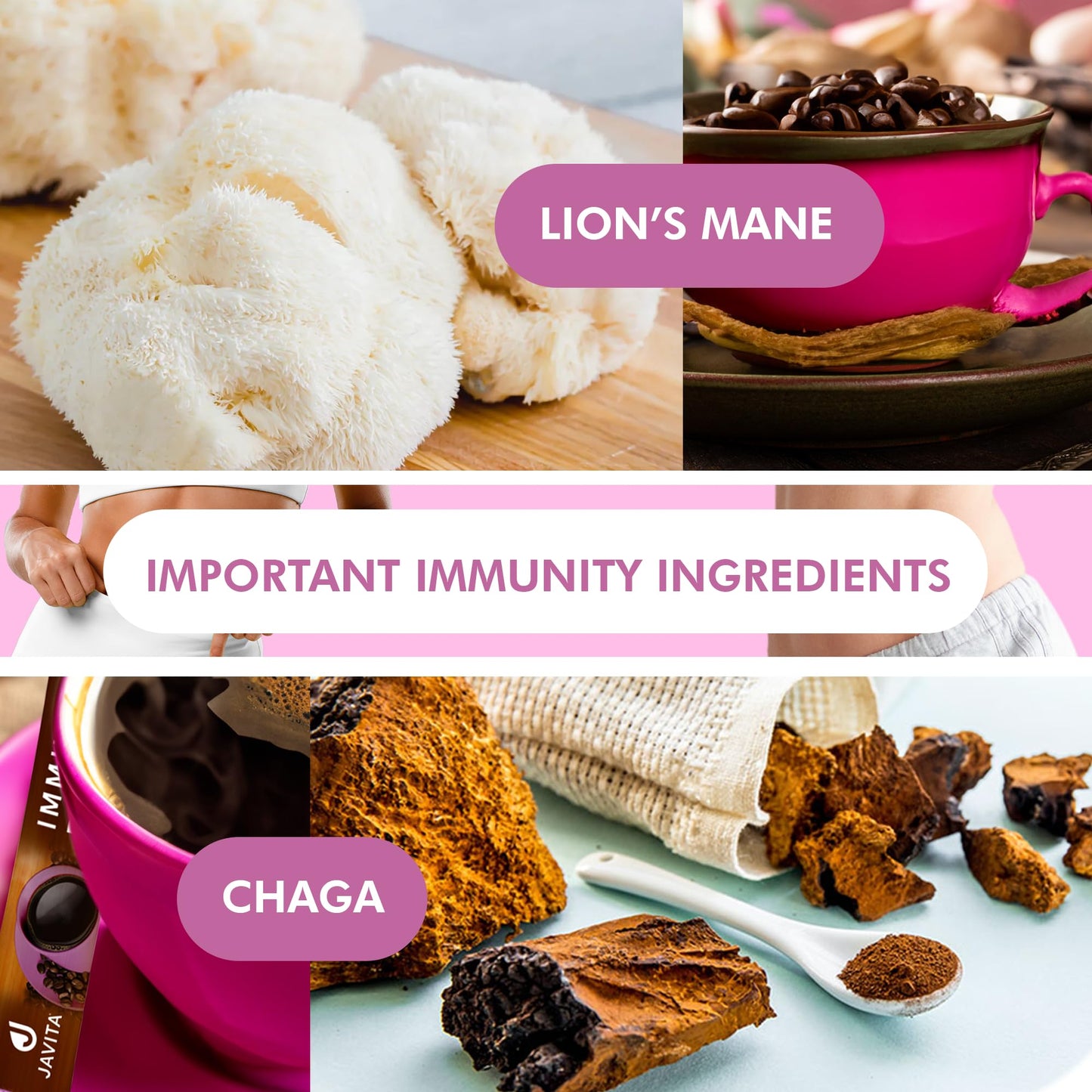 Javita Immune + Defend Mushroom Coffee - South American Dark Roast Robusta W/Chaga & Lions Mane, Overall Immune Health Support,