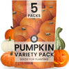 Pumpkin Seeds | 5 Invidiual Packs | 2025 Season | Non-GMO | Jack O Lantern, Sugar Pie, Casper, Cinderella & Cushaw! | for Planti