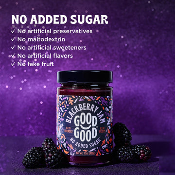 Good Good No Added Sugar Blackberry Jam - Low Calorie & Low Carb - Keto Friendly Jelly - Vegan - Gluten Free - Preserves - 12 Ounce (Pack Of 1)