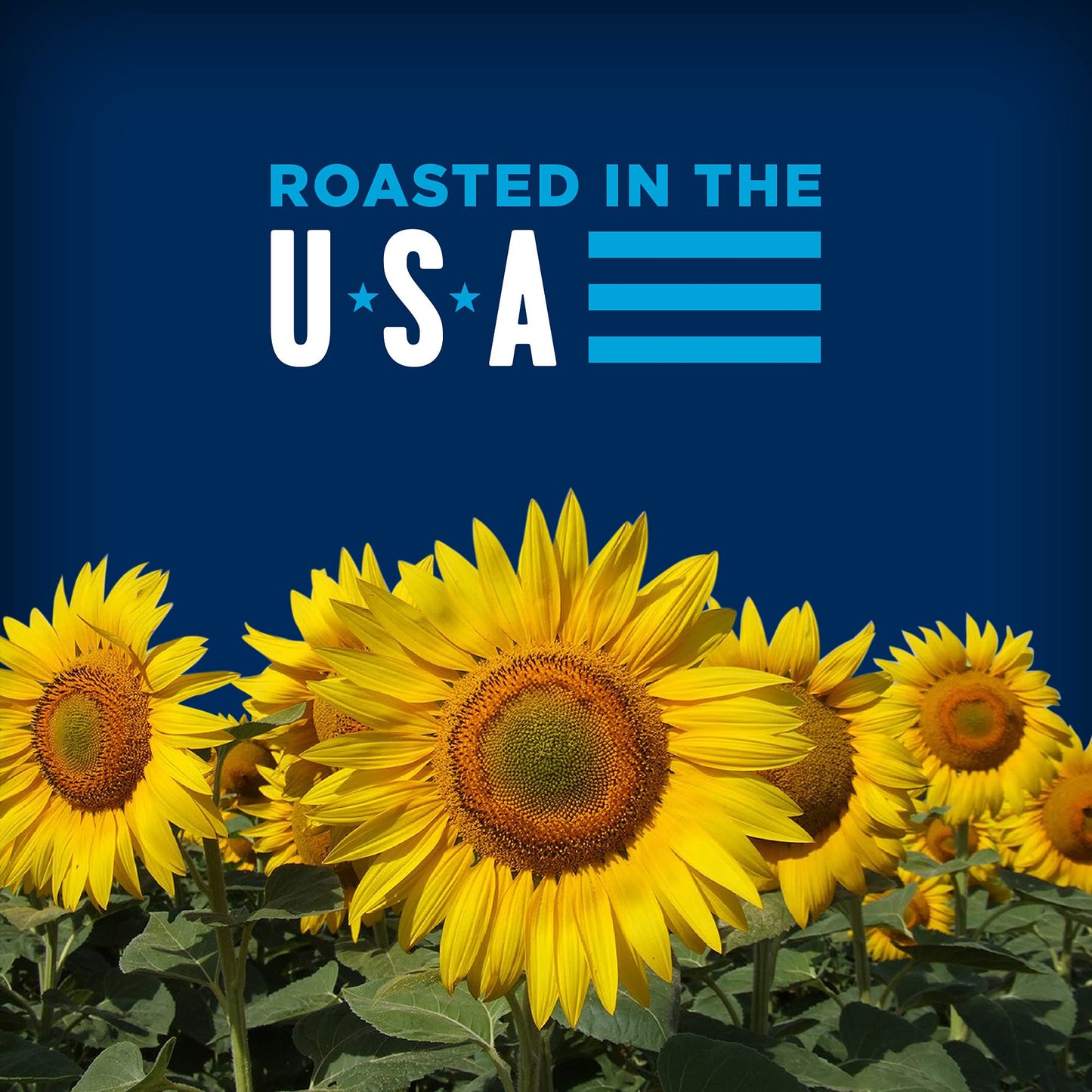 Bigs Hidden Valley Ranch Sunflower Seeds, Keto Friendly Snack, 5.35-Oz. Bag (Pack Of 12)