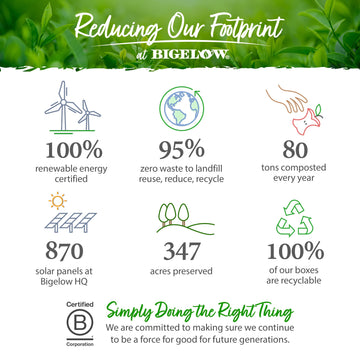 Bigelow Tea Green Tea Assortment, Individually Wrapped Tea Bags With Classic, Decaffeinated, Mint, Peach, Constant Comment, Lemo