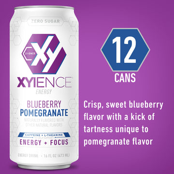 XYIENCE Energy Drink Blueberry Pomegranate Sugar Free 16 Fl Oz Pack of 12