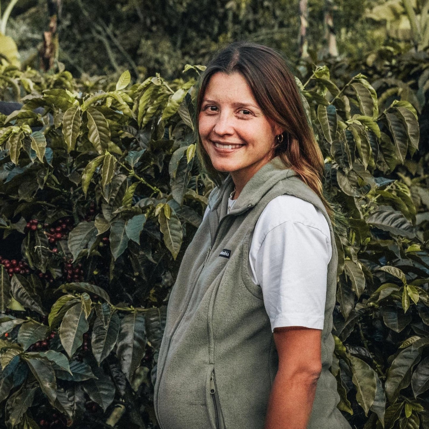 Costa Rican Coffee, Finca Las Mercedes Tarrazu, Whole Bean, Medium Roast, Washed Process, Fresh Roasted, 16-Ounce