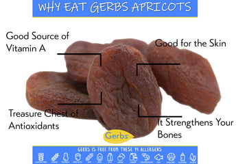 GERBS Dried Apricots 2 LBS. | Freshly Dehydrated Packed in Resealable Bulk Bag | Top Food Allergy Free | Sulfur Dioxide Free |Gr