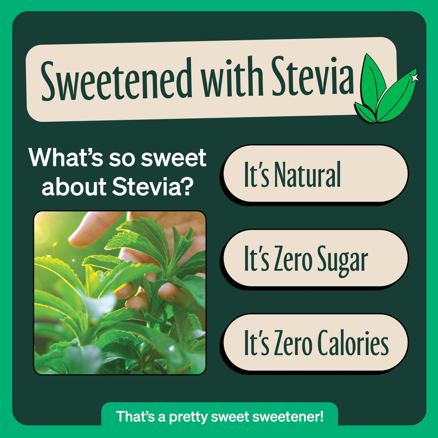Zevia Zero Sugar Tea, Black Tea with Peach, 12 oz Cans (12-Pack) - Naturally Sweetened, Zero Calorie Sugar Free - Non-GMO Projec