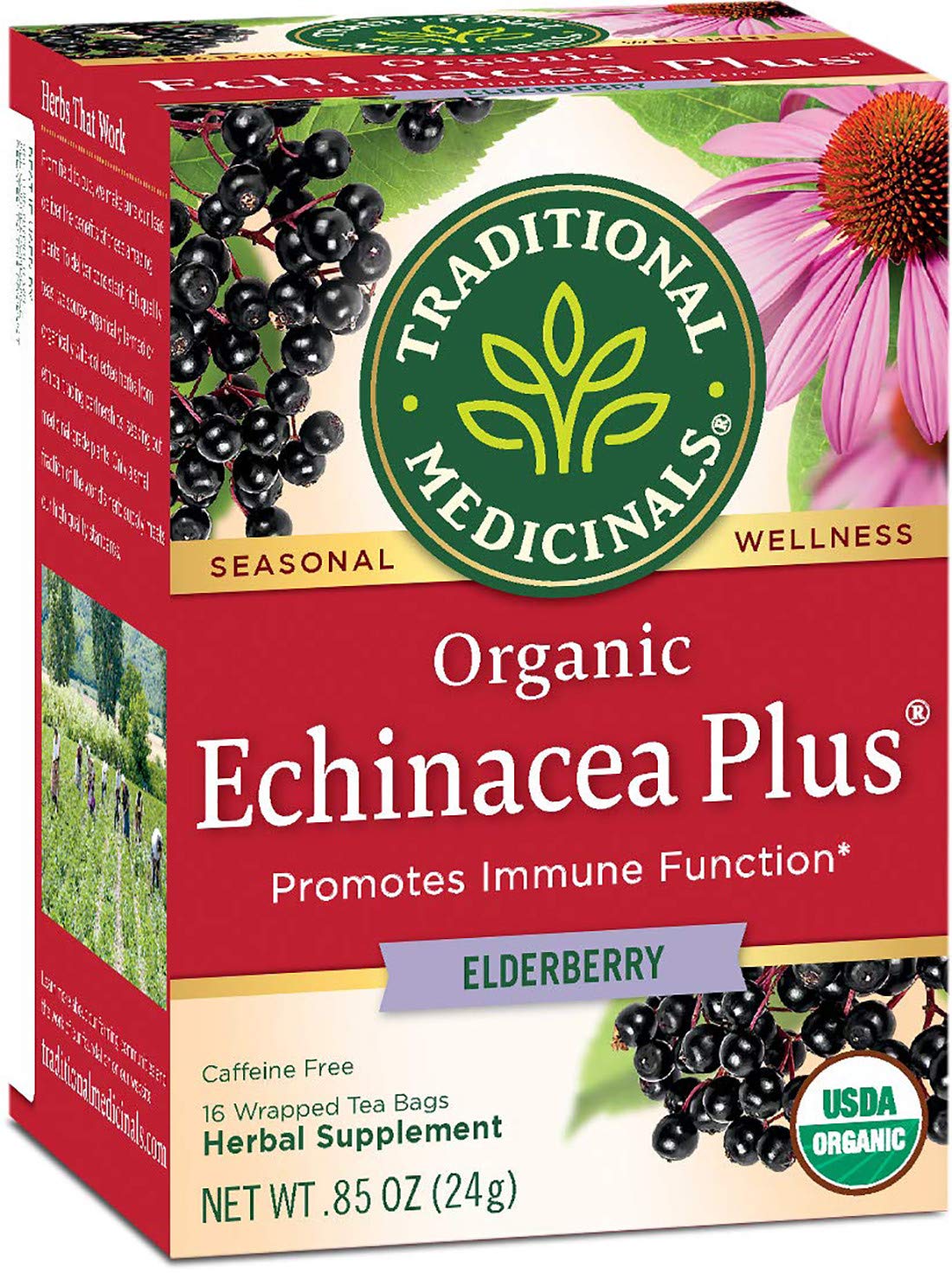 Traditional Medicinals Organic Echinacea Plus Elderberry Herbal Tea, Promotes Immune Function, (Pack Of 1) - 16 Tea Bags