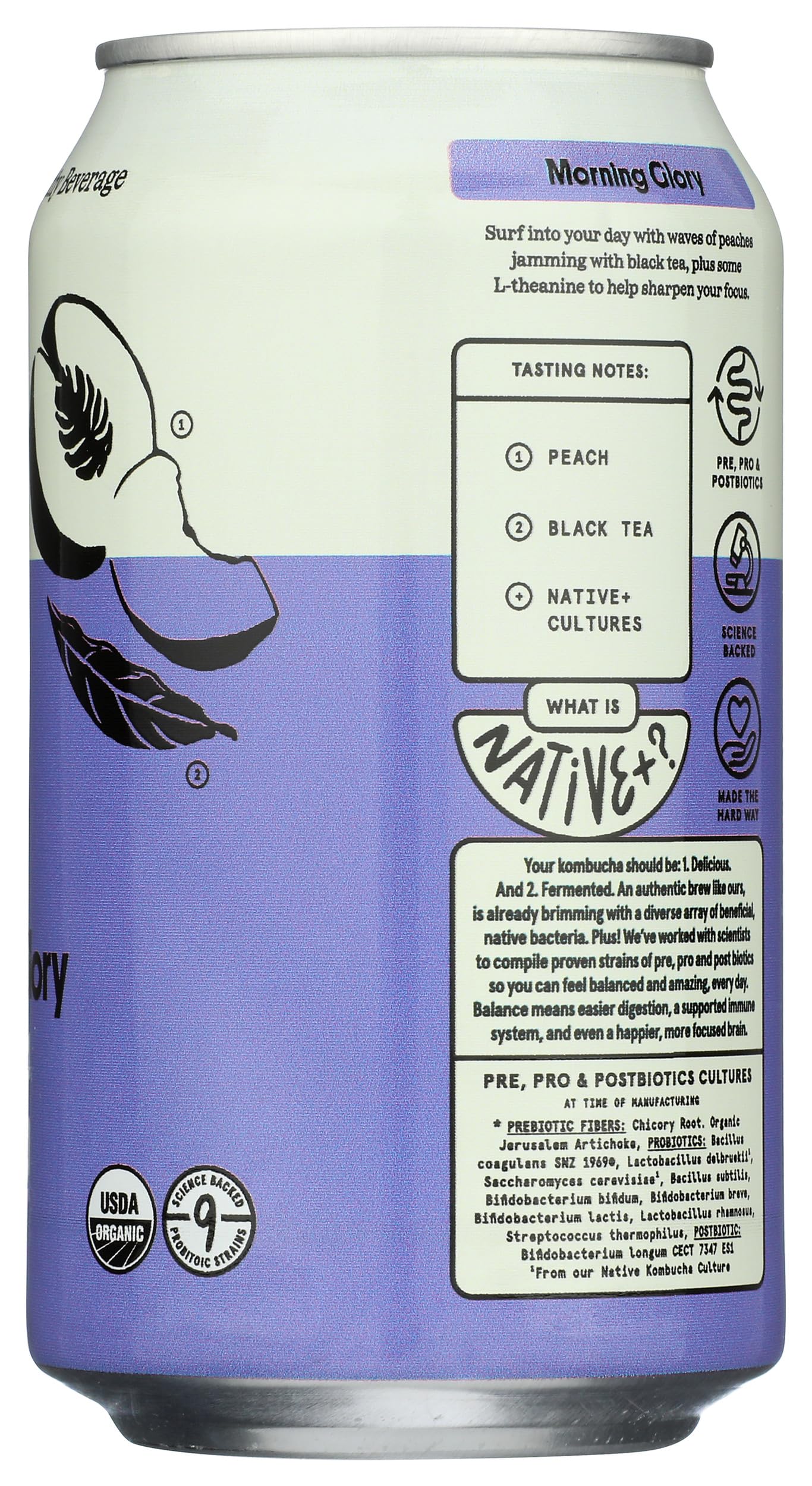 Better Booch Kombucha Morning Glory Peach Black Tea 12 Fl Oz