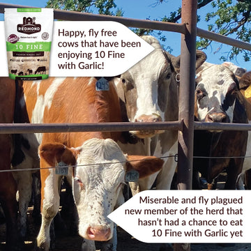 REDMOND 10 Fine Natural Livestock Mineral Salt 25 LB Bag