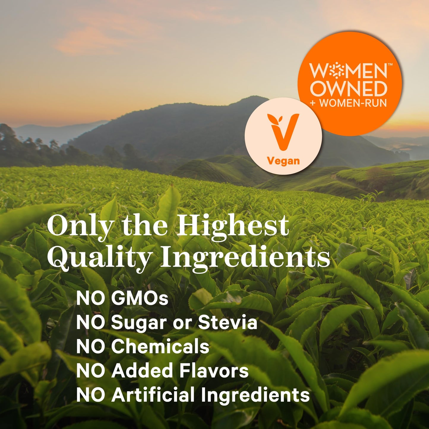 Pink Stork No Flow - Organic Sage Tea To Dry Up Breast Milk Supply And Decrease Milk Production, Stop Breastfeeding, Wean Lactat