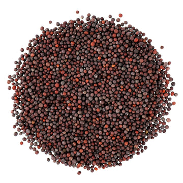 Food To Live Organic Brown Mustard Seeds, 12 Ounces - Non-Gmo. Great For Sprouting, Pickling And Cooking. Non-Irradiated. Bulk.