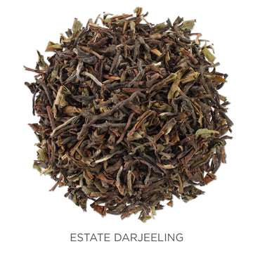 Tea Forte Loose Tea Canister, Black Tea, Makes 35-50 Cups (Estate Darjeeling)