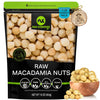 NUT CRAVINGS - Raw Macadamia Nuts, Unsalted, Shelled, (16oz - 1 LB) Bulk Nuts Packed Fresh in Resealable Bag - Kosher Healthy Sn