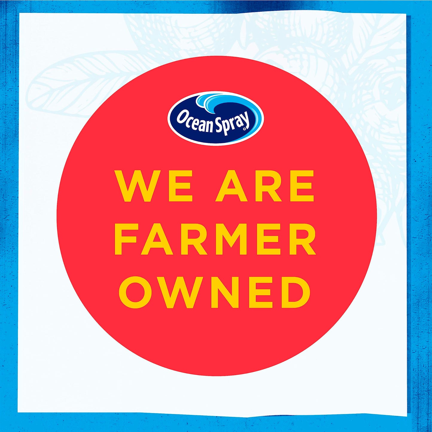 Ocean Spray Hydration Cranberry Pineapple Juice Drinks, 10 Fl Oz Bottles, 6 Count (Pack Of 1)