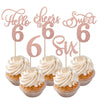 Rsstarxi Cupcake Toppers 30 Pack Rose Gold Glitter 6th Birthday Picks, Model XM202