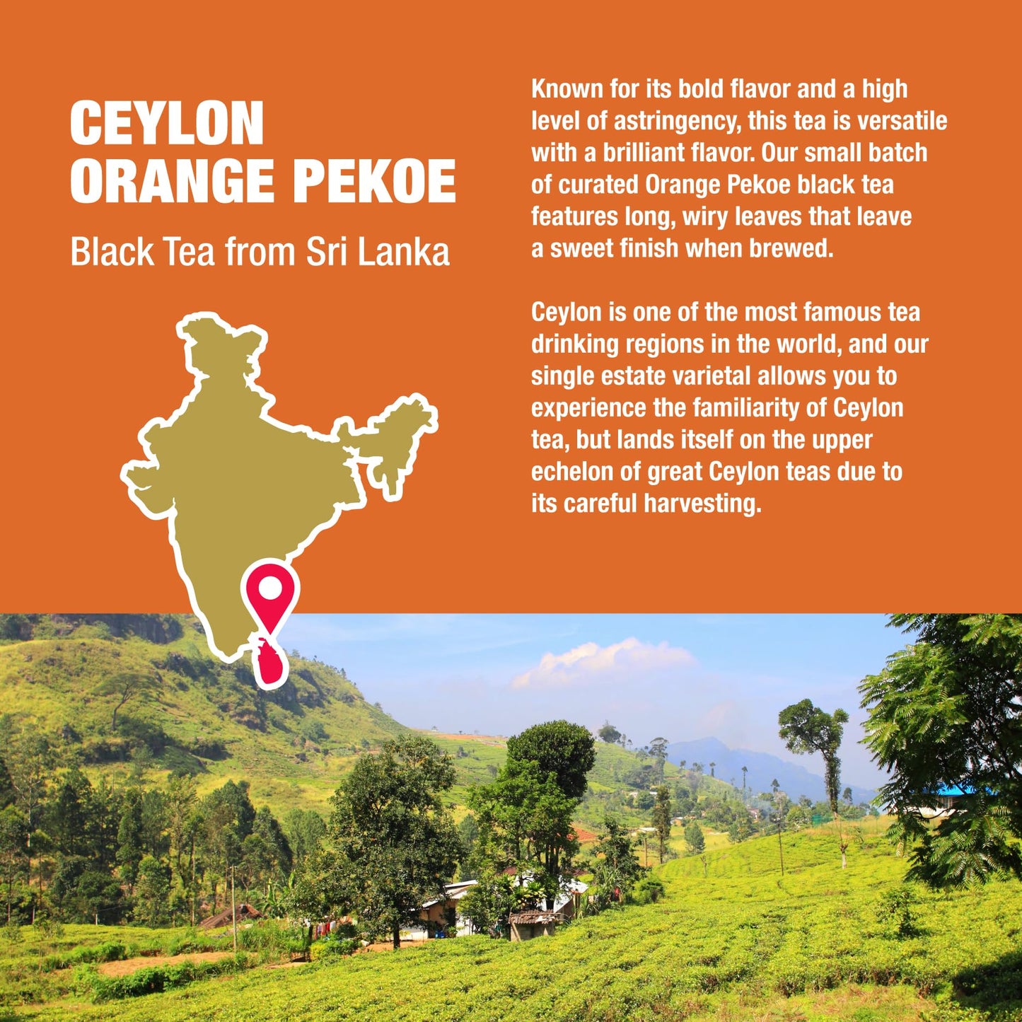 Tiesta Tea - Ceylon Orange Pekoe Black Tea | Single Origin Premium Loose Leaf From Sri Lanka| 100% Pure Unblended High Caffeinated Tea | Hot Or Iced Tea & Up To 200 Cups - 16Oz Resealable Bulk Pouch