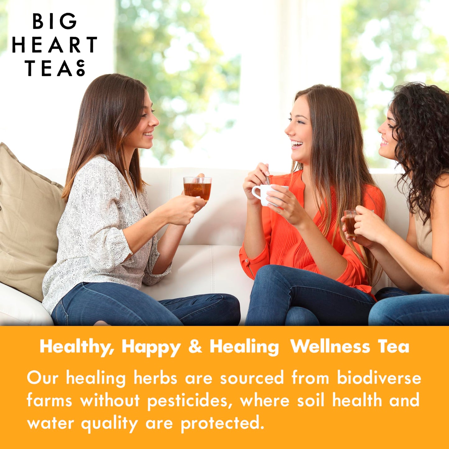 Big Heart Tea Co. Organic Tea Bags - Cup of Sunshine Turmeric & Ginger - 20 Bags