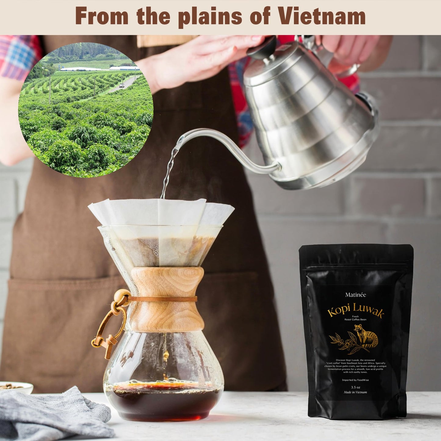 MATINÉE Wild Kopi Luwak Coffee Whole Beans, Medium Roast, 100g - Premium Vietnamese Coffee Gift, 3.5 Ounce Pack