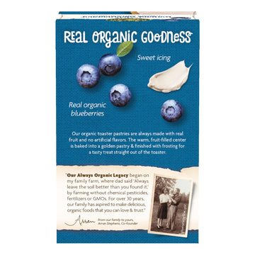 Nature'S Path Organic Frosted Buncha Blueberries Toaster Pastries, 11 Oz (Pack Of 1), Non-Gmo
