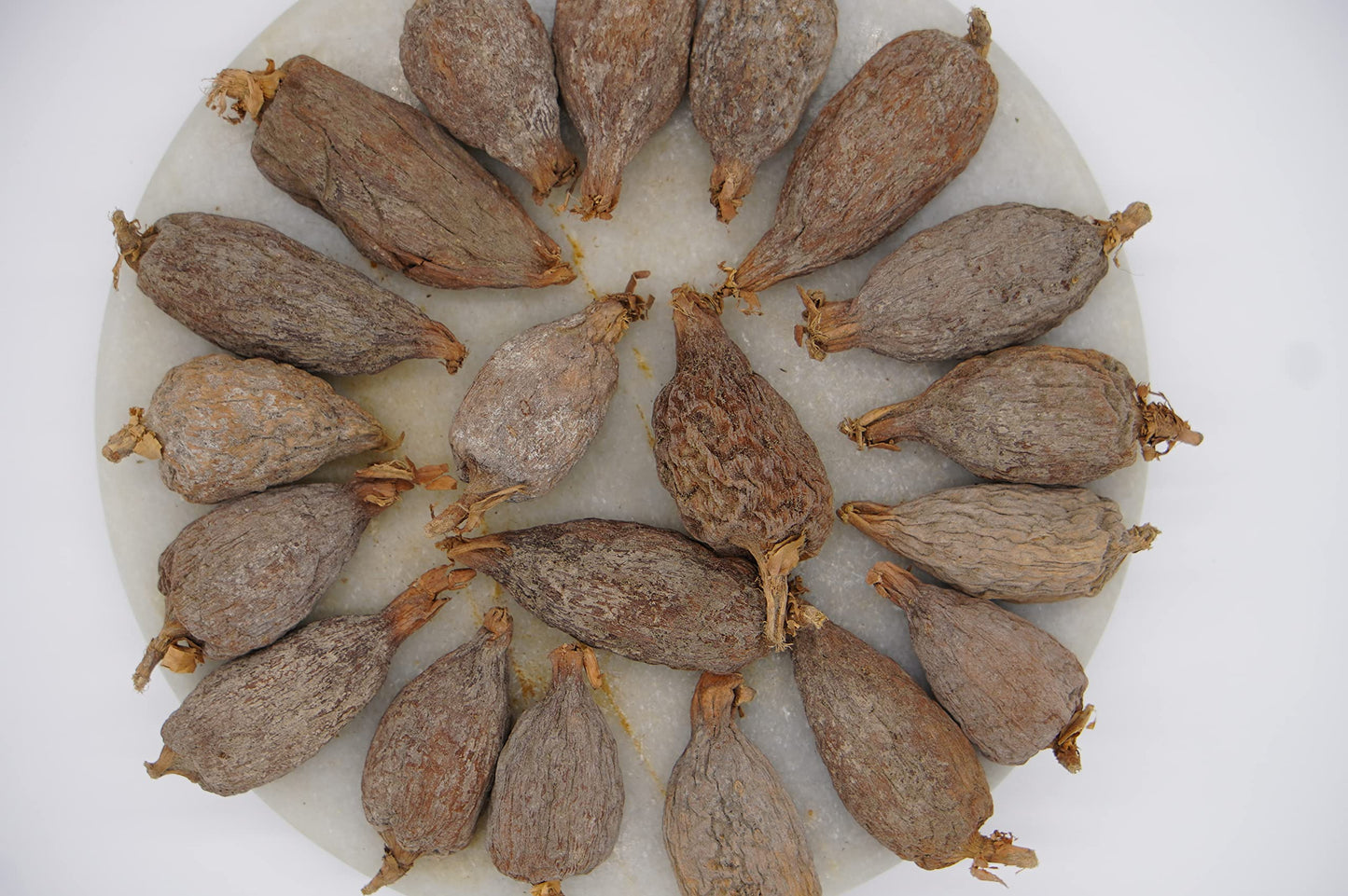 AseLife Energy Alligator Pepper Pods - 10 Count Grains of Paradise