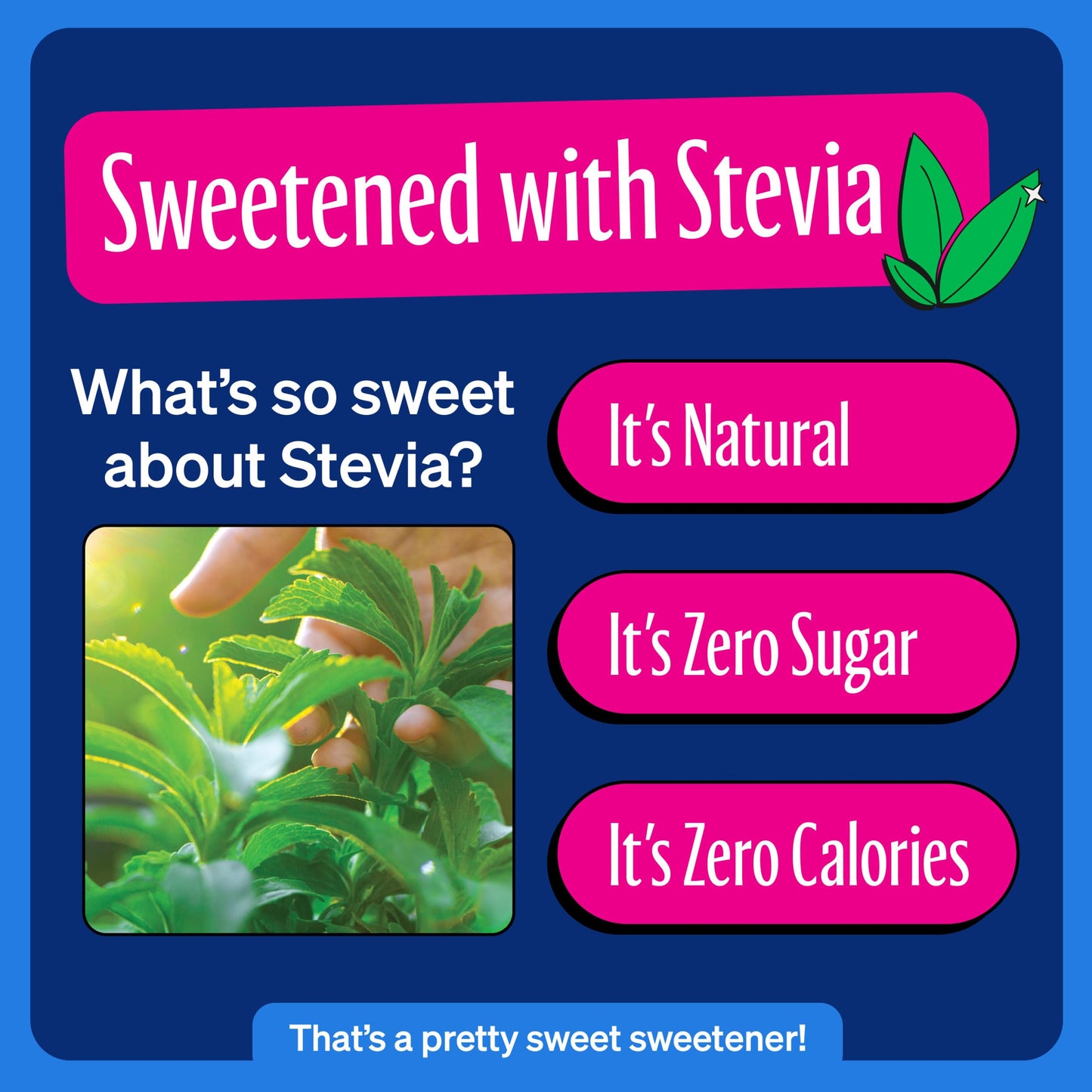 Zevia Zero Sugar Soda, Cherry Cola, 16 Oz Cans (12-Pack) - Naturally Sweetened, Zero Calorie Sugar Free Soda - Non-Gmo Project V