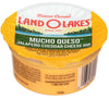 Land O Lakes Mucho Queso Jalapeno Cheddar Cheese Dip, 3 Ounce Cup -- 140 per case.