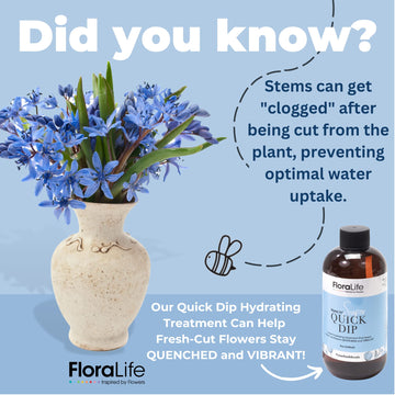 Floralife Quick Dip - Instant Hydrating Treatment Solution For Preserving Fresh-Cut Flowers - 8Oz