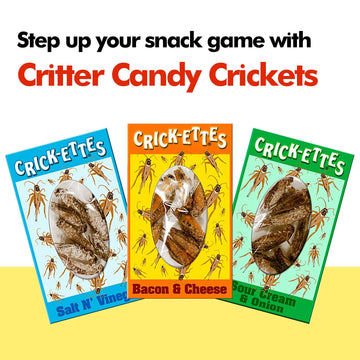 Hotlix Crick-Ettes Edible Bugs (6-Pack) | Salt N Vinegar, Bacon & Cheese, Sour Cream & Onion | Dried Crickets To Eat | Weird Snacks For Humans & Pets | Edible Crickets For Parties & Exotic Snacks