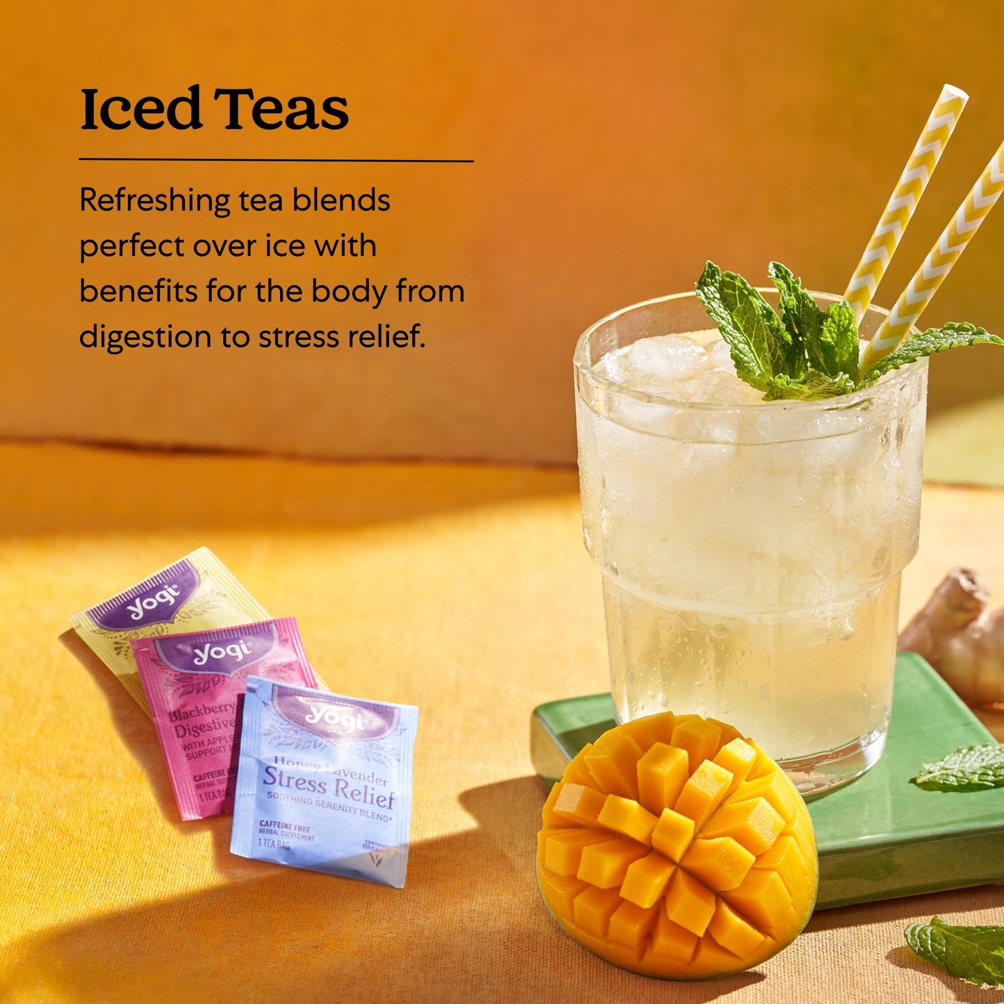 Yogi Tea Iced Tea Variety Pack - Organic Sampler - 16 Bags per Pack (3 Packs) - Includes Mango Ginger, Blackberry Apple Cider, Honey Lavender
