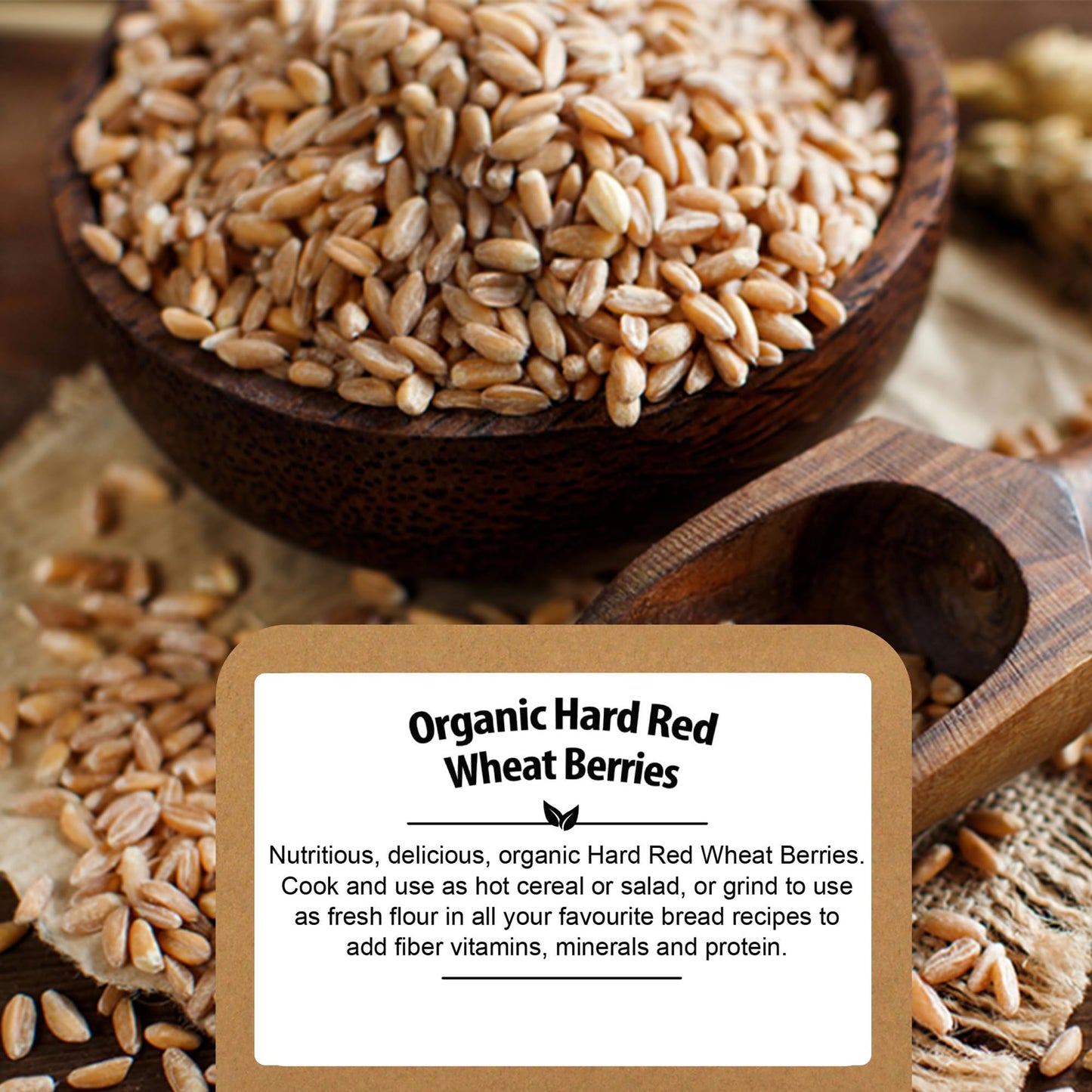 Be Still Farms Organic Hard Red Wheat Berries (4.8Lb) - Healthy Diet Whole Grains Bulk - Ideal For Soups, Salads, Flour, Bread -