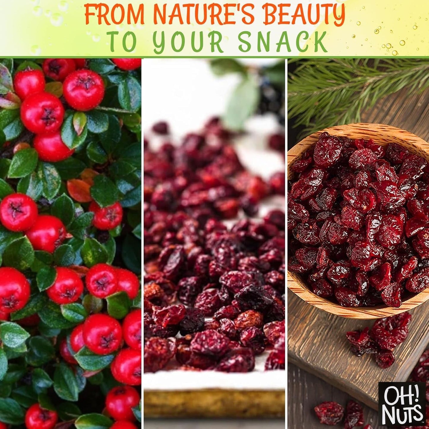 Dried Cranberries | 1Lb Bulk Bag For Snacking, Baking & Salads | Low Sodium, High Fiber, Low Cholesterol, Dairy Free, High Antioxidants, Low Fat Dehydrated Cranberry Fruit By Oh Nuts