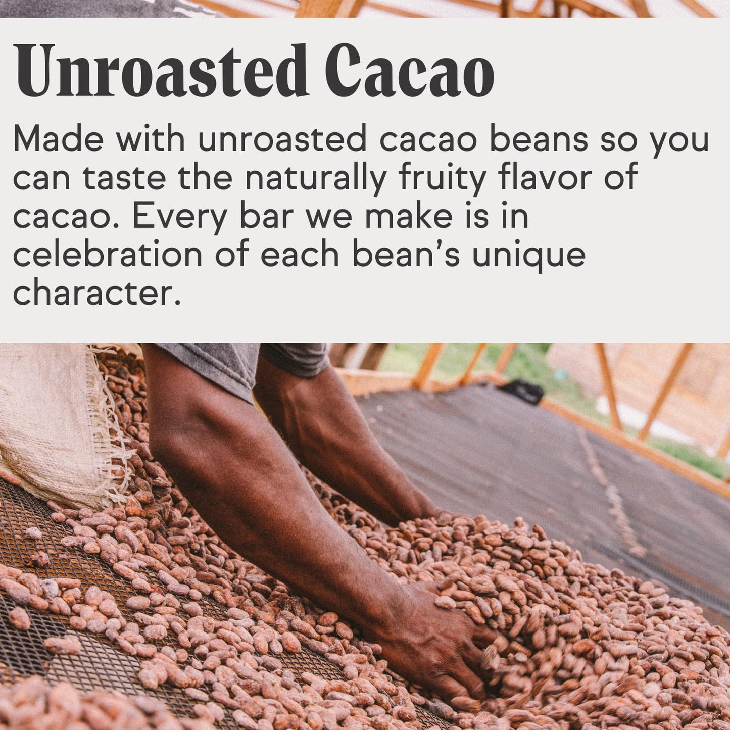 Raaka Coconut Milk Chocolate Gift Box | 60% Cacao Vegan Milk Chocolate | Organic, Vegan, Gluten Free | Box of 30 Individually Wr