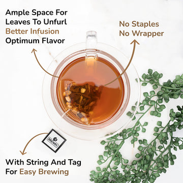 Brewix, Campfire Cinnamon Black Tea (22 Pyramid Tea Bags) | Black Tea With Orange & Cinnamon | Sweet And Spicy Tea | Energy Tea